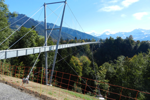 Hängebrücke mit Panorama