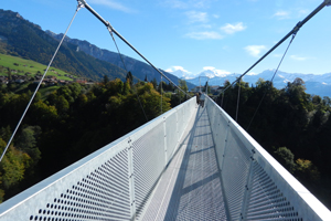 Faszination Hängebrücke