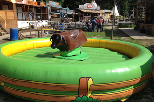 Bull Riding Bullrider