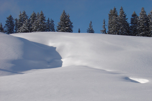 Unberührte Winterlandschaft