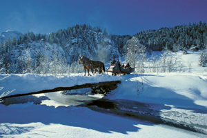 Pferdeschlittenfahrt durch die verschneite Landschaft