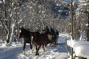 Kutschenfahrt durch verschneiten Wald